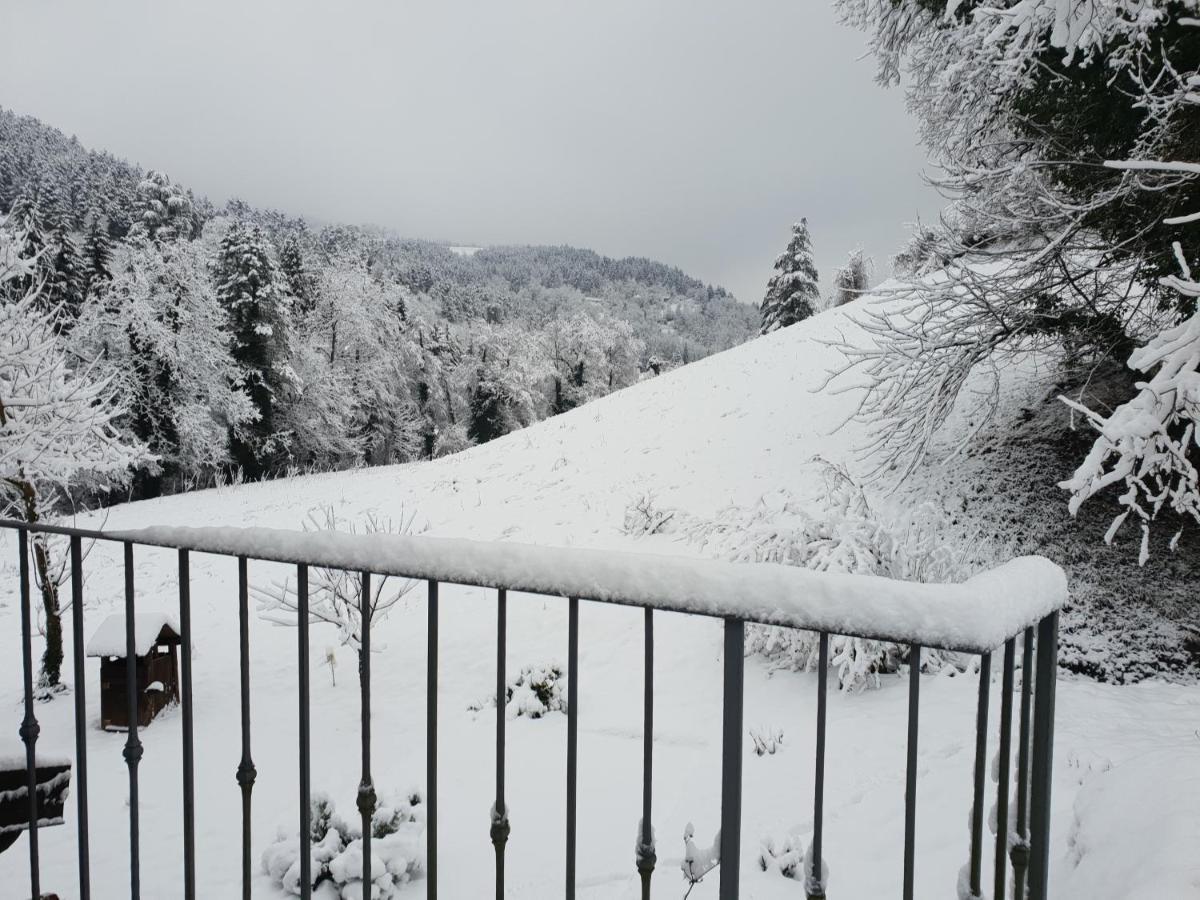 B&B Il Bagarello Palazzuolo Sul Senio Buitenkant foto